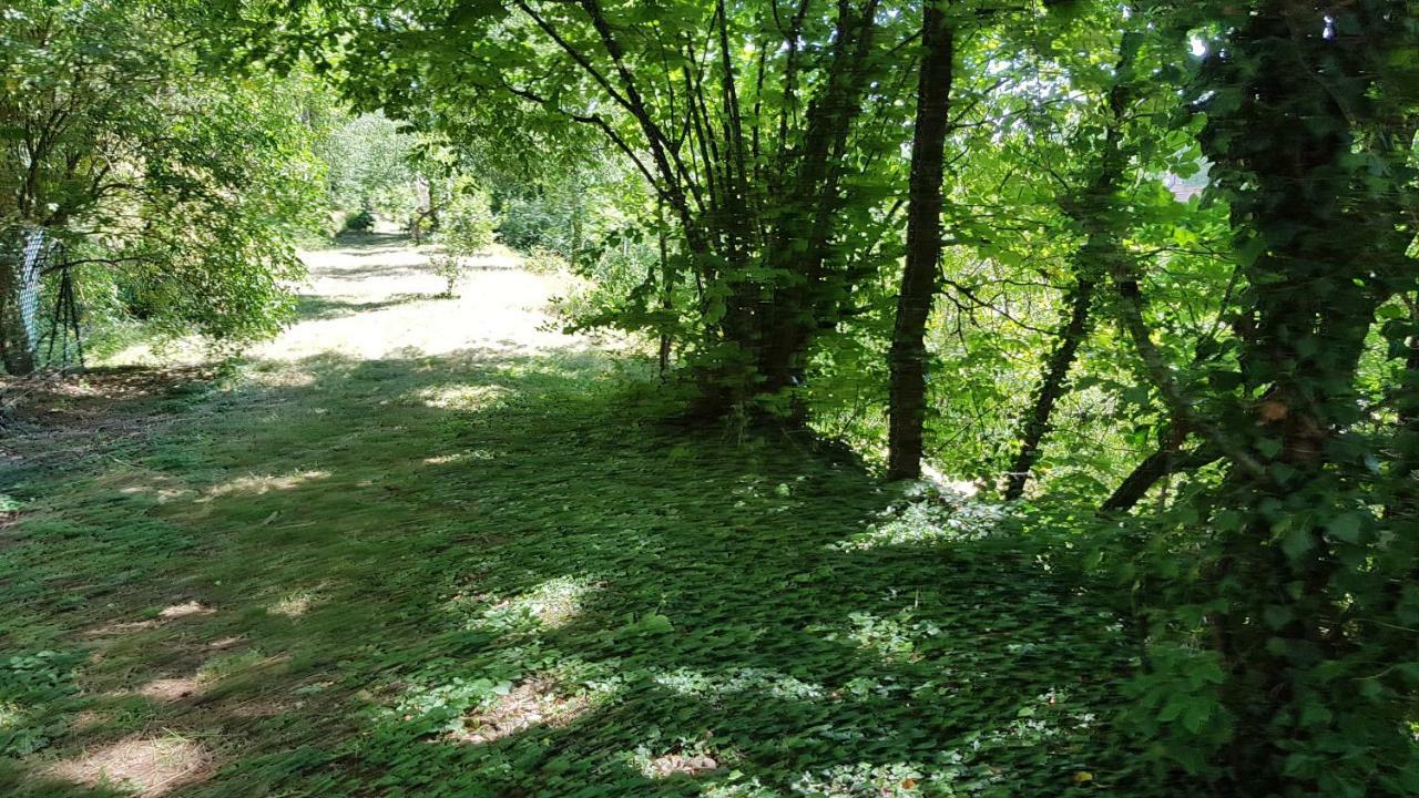 Gite La Providence Saint-Sernin-du-Plain Zewnętrze zdjęcie